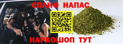 стафф Новокубанск