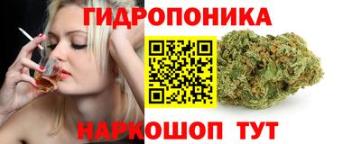 прущие крисы Лесосибирск