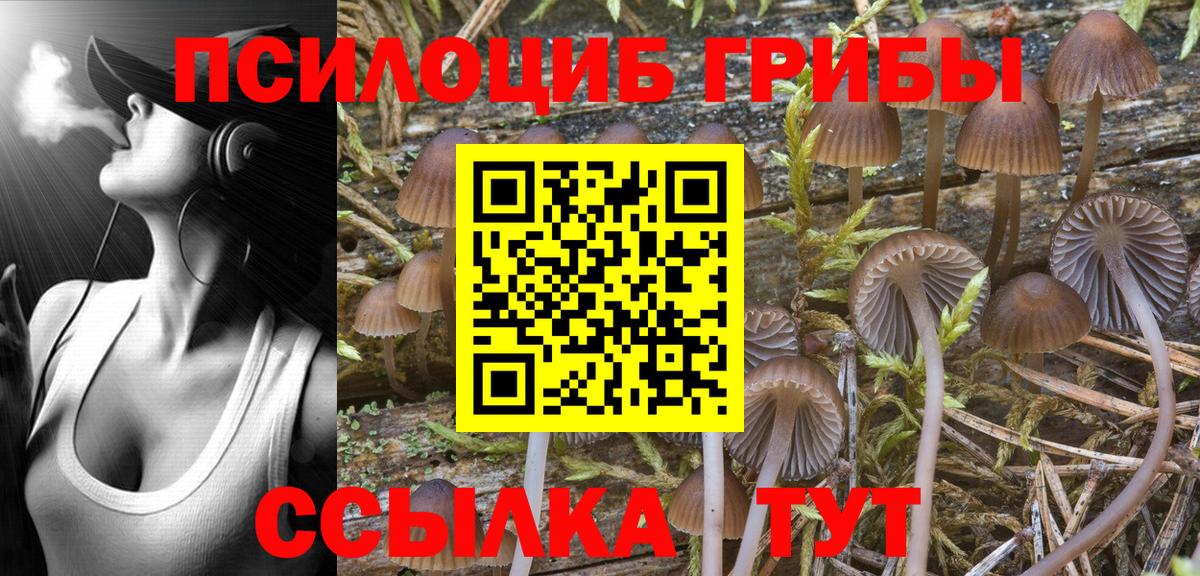 Галлюциногенные грибы прущие грибы Тобольск